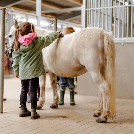 Backhaus 2 Dom wakacyjny