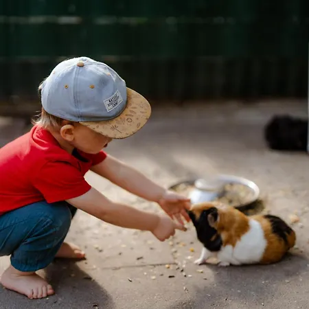 Backhaus 2 * Staberdorf