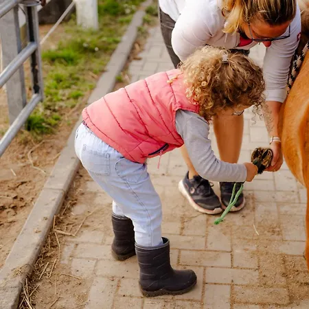 Backhaus 2 Nyaraló *