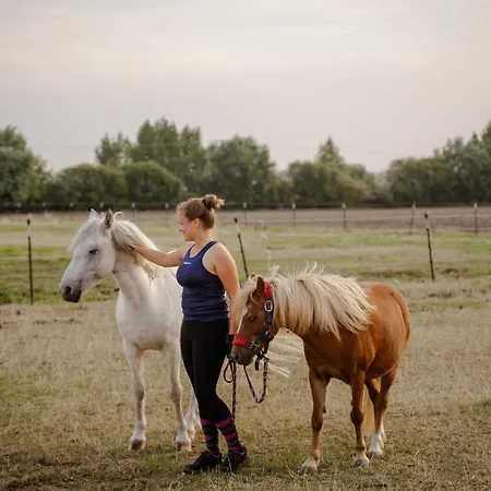 Backhaus 2 Nyaraló Staberdorf