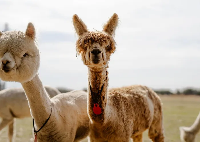 Casa de Férias Backhaus 2