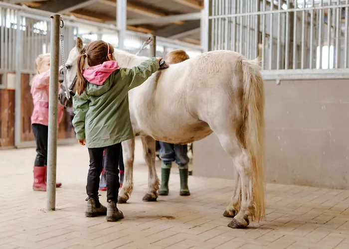 Backhaus 2 Casa de Férias