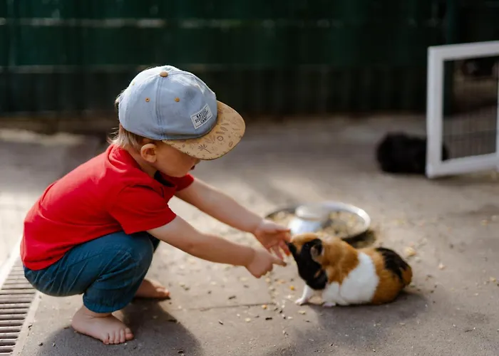 Backhaus 2 * Staberdorf