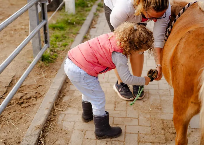 Backhaus 2 Casa de Férias *