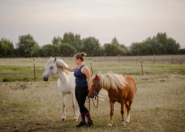 Backhaus 2 Casa de Férias Staberdorf