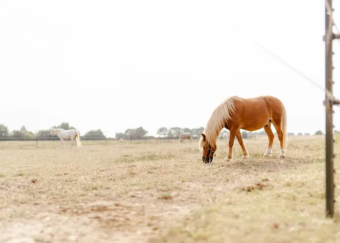 Backhaus 2 * Staberdorf