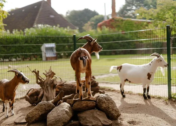 Backhaus 2 Casa de Férias