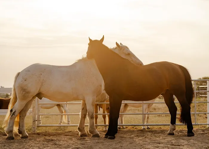 Casa de Férias Backhaus 2 Staberdorf